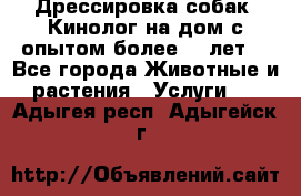 Дрессировка собак (Кинолог на дом с опытом более 10 лет) - Все города Животные и растения » Услуги   . Адыгея респ.,Адыгейск г.